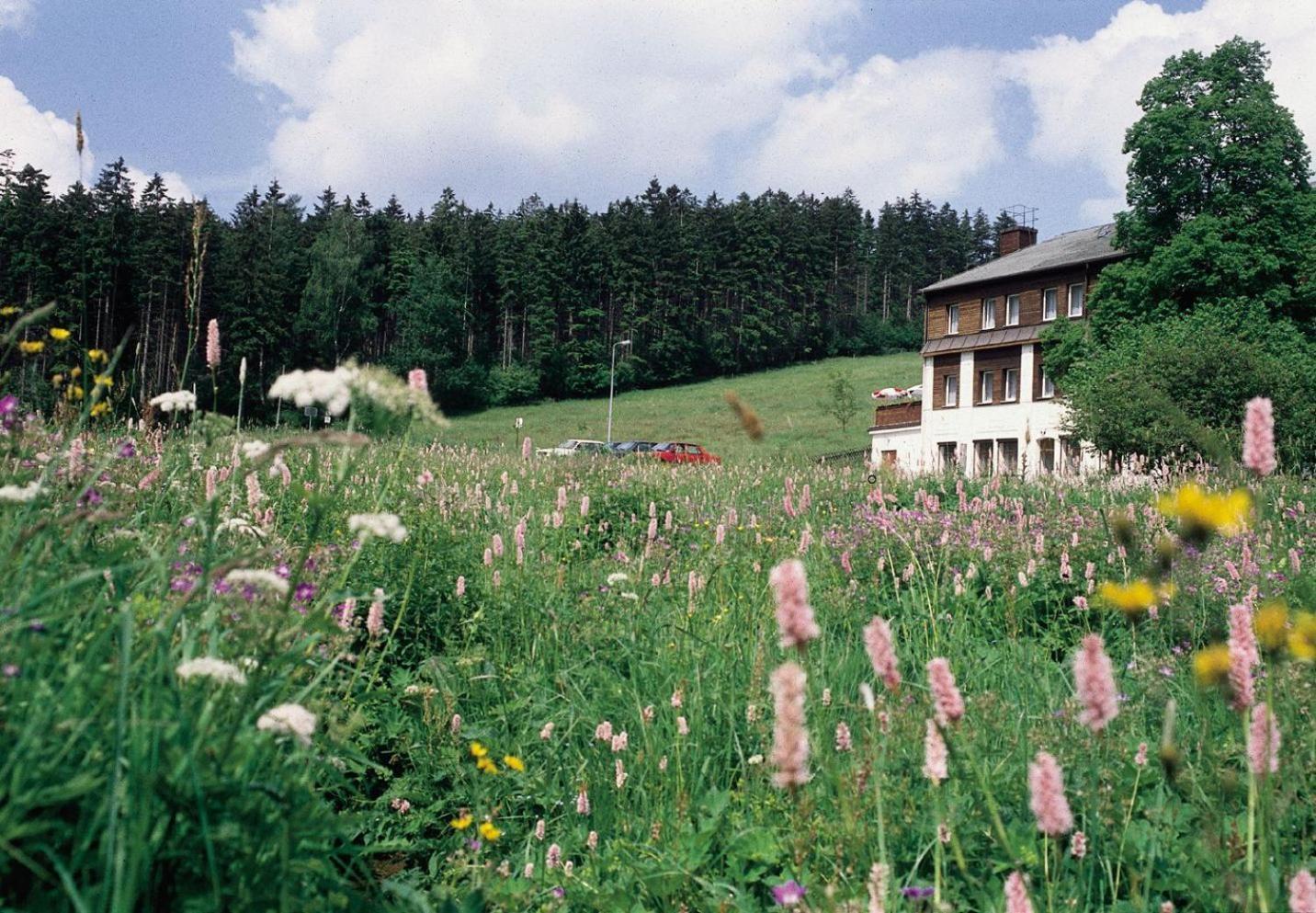 Landhaus Bergidyll Bärenstein Exteriör bild
