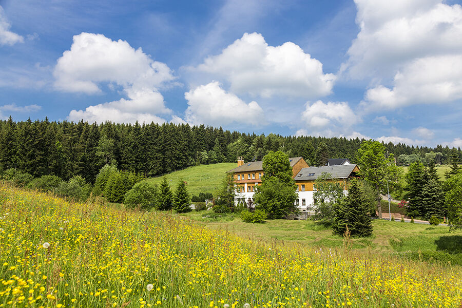 Landhaus Bergidyll Bärenstein Exteriör bild