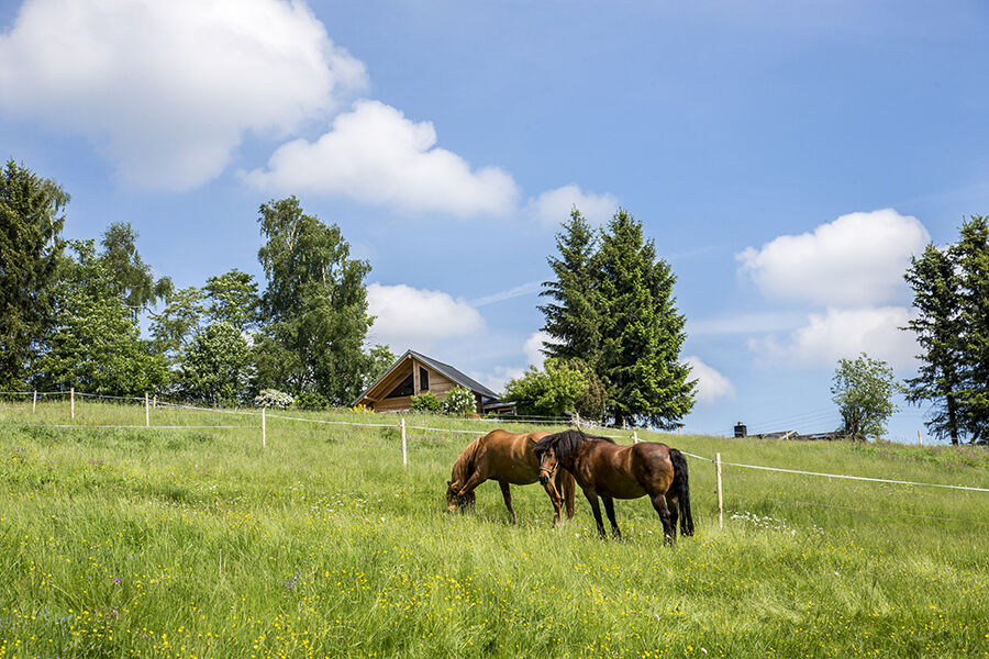 Landhaus Bergidyll Bärenstein Exteriör bild