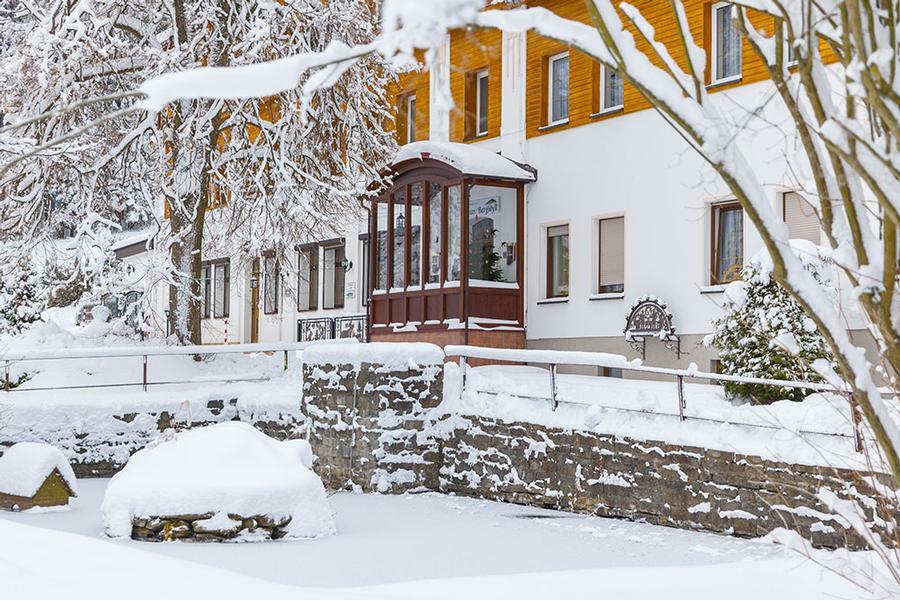 Landhaus Bergidyll Bärenstein Exteriör bild