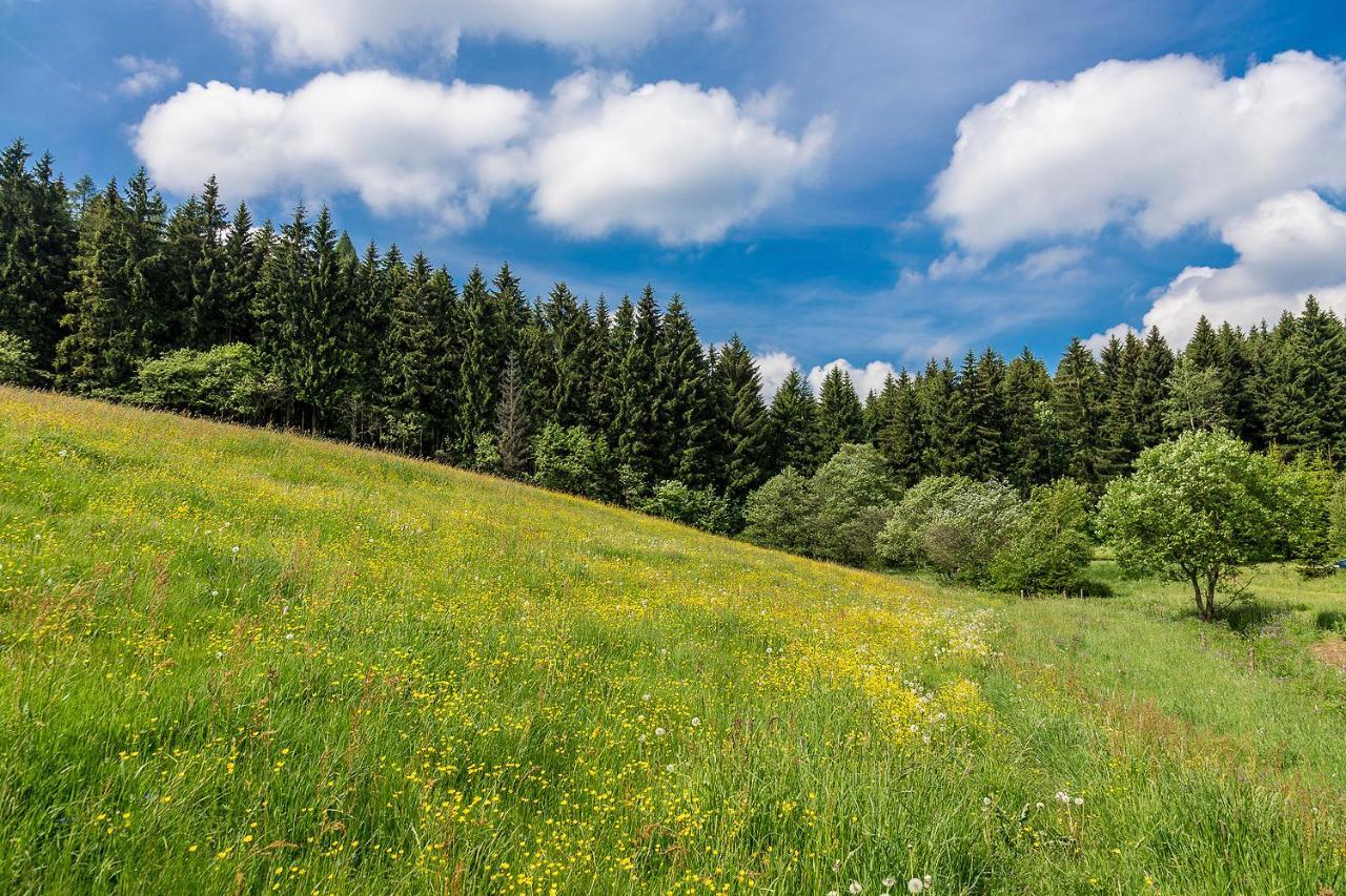 Landhaus Bergidyll Bärenstein Exteriör bild